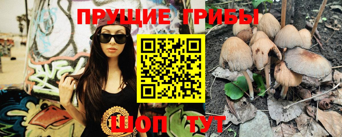Псилоцибиновые грибы Cubensis Казань