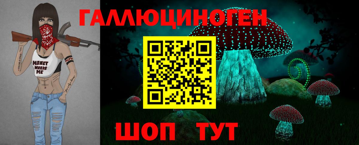 Псилоцибиновые грибы GOLDEN TEACHER  наркошоп  Казань  Вход с VPN 